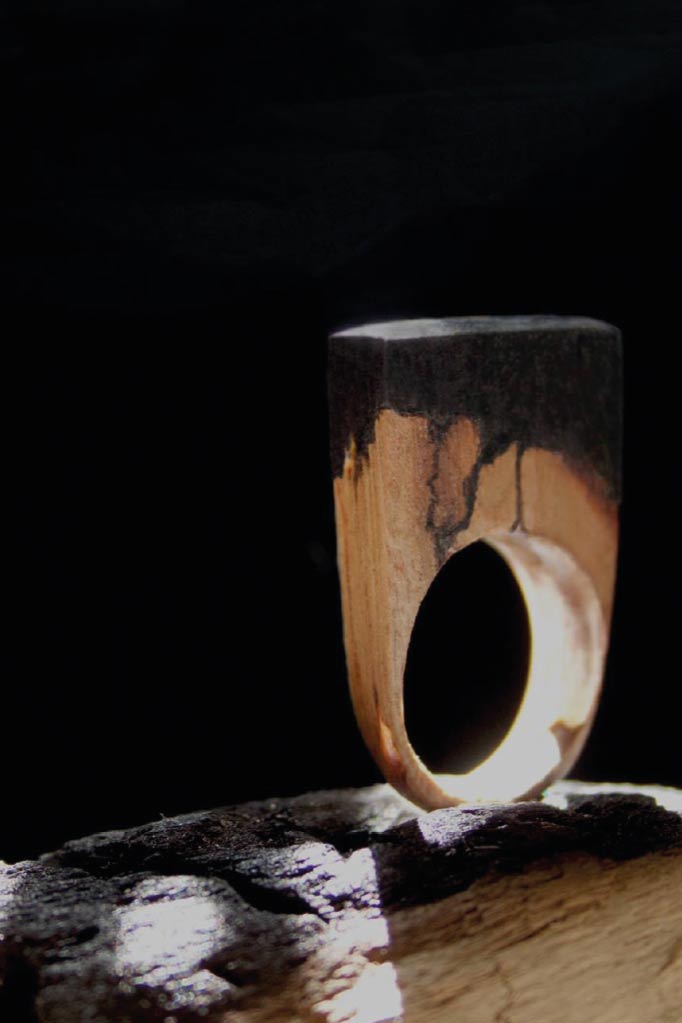Ivy Root - Sushi Design Studio